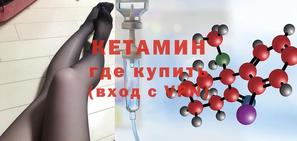 крисы Баксан