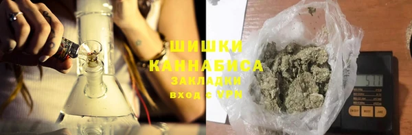 крисы Баксан