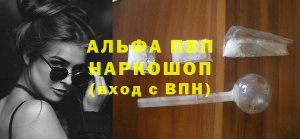 крисы Баксан
