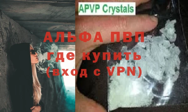 крисы Баксан