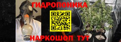 винт Гусь-Хрустальный