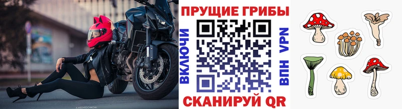 omg зеркало Нерюнгри Псилоцибиновые грибы Magic Shrooms