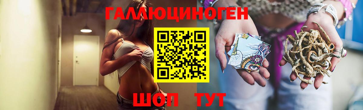 Галлюциногенные грибы Psilocybe Нерюнгри
